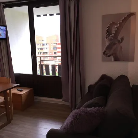 Апартаменты Biellaz- Menuires Immobilier